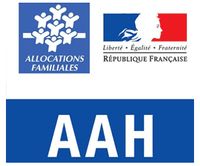 l'allocation aux adultes handicapés handicap visuel